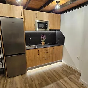 Apartamento Loft Puerta Almodovar, Córdoba